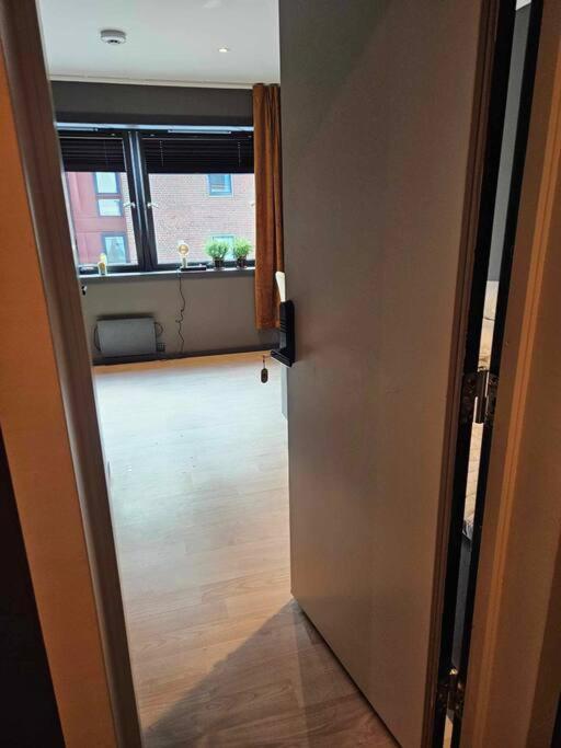 A Cheaper Option To Apartment Alesund